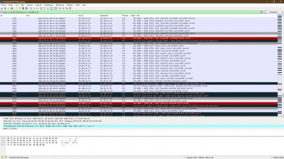 Vue Wireshark.png
